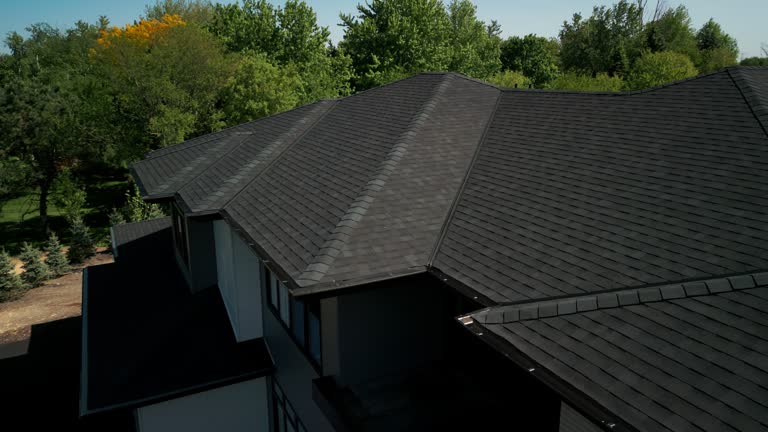 Professional Roofing Services in Naples, UT